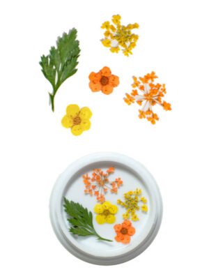 Fleurs Séchées Jaunes