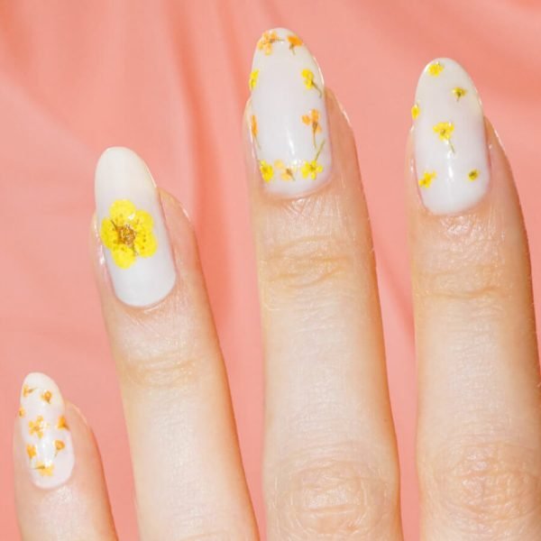 Fleurs Séchées Jaunes