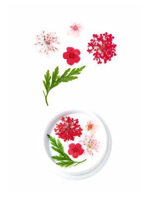 Fleurs Séchées Rouges