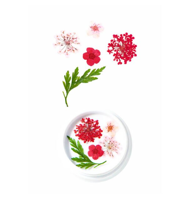 Fleurs Séchées Rouges